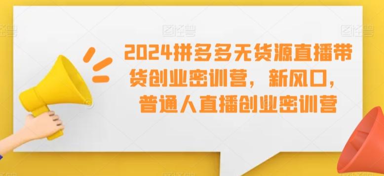 2024拼多多无货源直播带货创业密训营，新风口，普通人直播创业密训营-菜菜网创