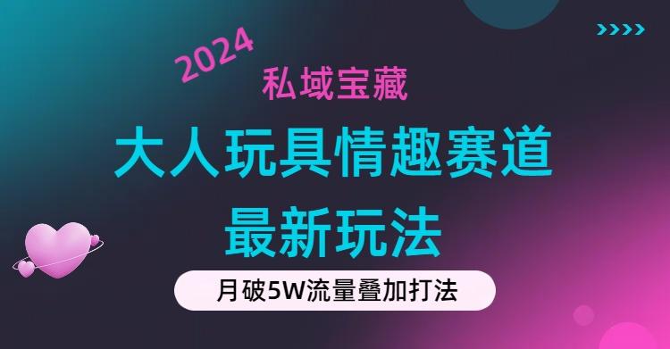 私域宝藏：大人玩具情趣赛道合规新玩法，零投入，私域超高流量成单率高-菜菜网创