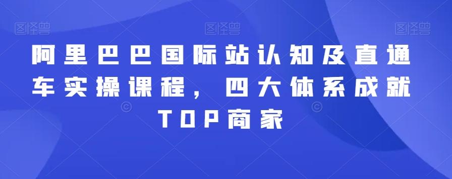 阿里巴巴国际站认知及直通车实操课程，四大体系成就TOP商家-菜菜网创