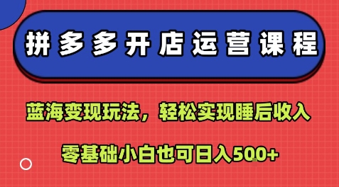 拼多多开店运营课程：蓝海变现玩法，轻松实现睡后收入，零基础小白也可日入5张-菜菜网创