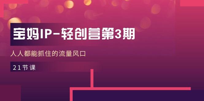 宝妈IP-轻创营第3期，人人都能抓住的流量风口(21节课-菜菜网创