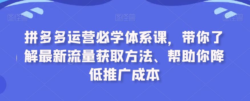 拼多多运营必学体系课，带你了解最新流量获取方法、帮助你降低推广成本-菜菜网创