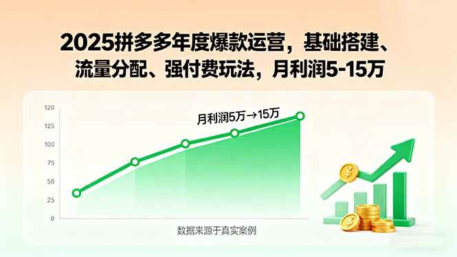 （15973期）2025拼多多年度爆款运营，基础搭建、流量分配、强付费玩法，月利润5-15万-菜菜网创