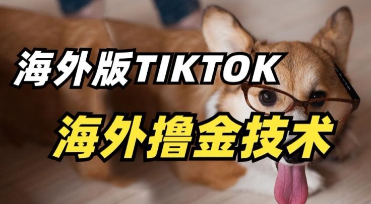 抖音海外版tiktok撸金技术，这个风口行业，赚钱真的不难【揭秘】-菜菜网创