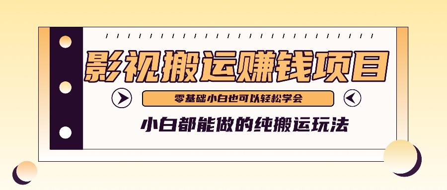 手把手教你操作影视搬运项目，小白都能做零基础也能赚钱-菜菜网创