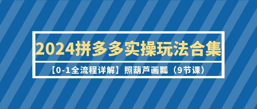 (9559期)2024拼多多实操玩法合集【0-1全流程详解】照葫芦画瓢(9节课)-菜菜网创