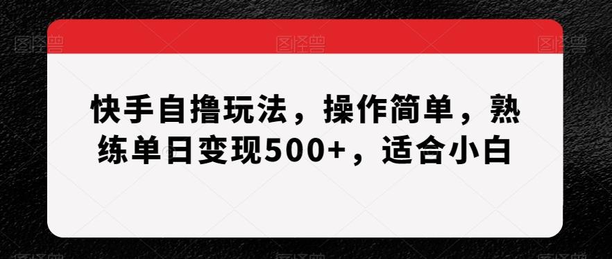 快手自撸玩法，操作简单，熟练单日变现500+，适合小白【揭秘】-菜菜网创