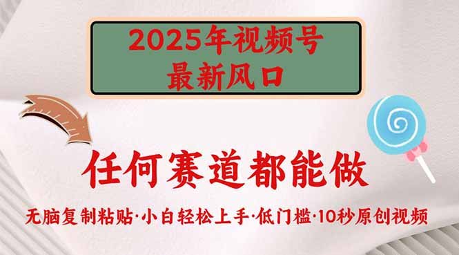 2025年视频号新风口，低门槛只需要无脑执行-菜菜网创