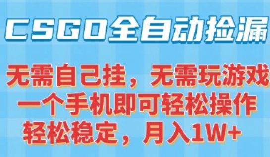 CSGO自动捡漏项目，最新独家玩法，一个手机可操作，新手小白轻松月入1W+，操作简单易上手【揭秘】-菜菜网创