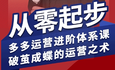 拼多多运营进阶系统课，从零起步，多多运营进阶体系课，破茧成蝶的运营之术-菜菜网创