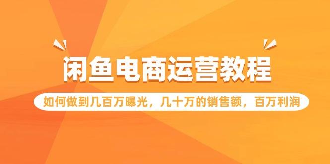 (9560期)闲鱼电商运营教程：如何做到几百万曝光，几十万的销售额，百万利润-菜菜网创