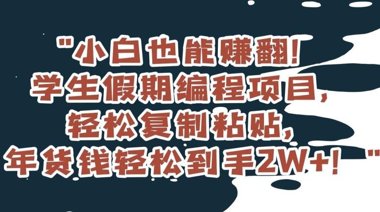 小白也能赚翻！学生假期编程项目，轻松复制粘贴，年货钱轻松到手2W+【揭秘】-菜菜网创
