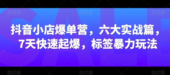 抖音小店爆单营，六大实战篇，7天快速起爆，标签暴力玩法-菜菜网创