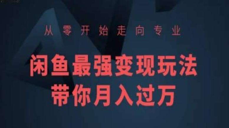 从零开始走向专业，闲鱼最强变现玩法带你月入过万-菜菜网创