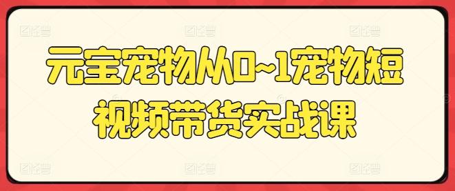 元宝宠物从0~1宠物短视频带货实战课-菜菜网创