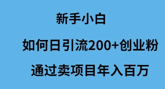 (9668期)新手小白如何日引流200+创业粉通过卖项目年入百万-菜菜网创