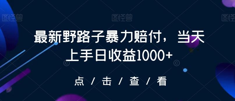 最新野路子暴力赔付，当天上手日收益1000+【仅揭秘】-菜菜网创