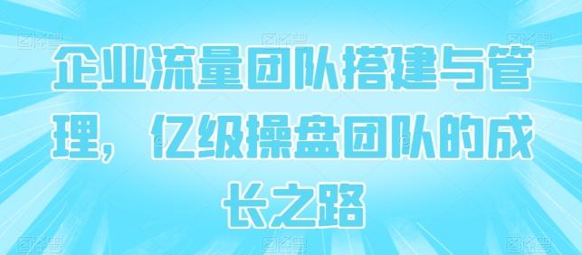 企业流量团队搭建与管理，亿级操盘团队的成长之路-菜菜网创