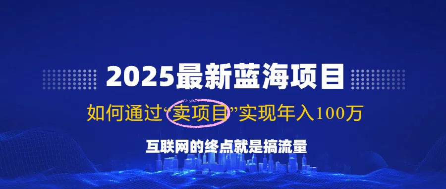 2025最新蓝海项目，零门槛轻松复制，月入10万+，新手也能操作！-菜菜网创