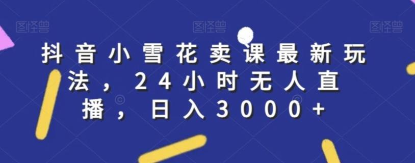 抖音小雪花卖课最新玩法，24小时无人直播，日入3000+【揭秘】-菜菜网创