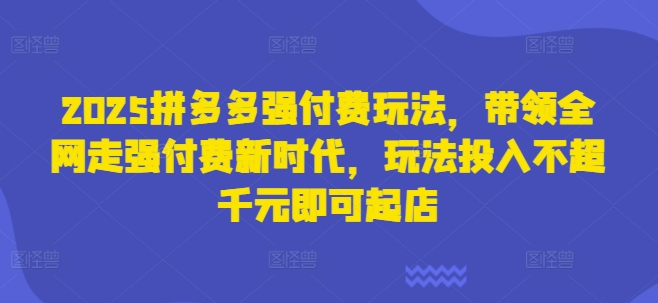 2025拼多多强付费玩法，带领全网走强付费新时代，玩法投入不超千元即可起店-菜菜网创