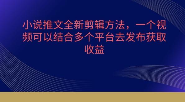 小说推文全新剪辑方法，一个视频可以结合多个平台去发布获取【揭秘】-菜菜网创