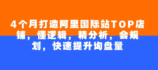 4个月打造阿里国际站TOP店铺，懂逻辑，精分析，会规划，快速提升询盘量-菜菜网创