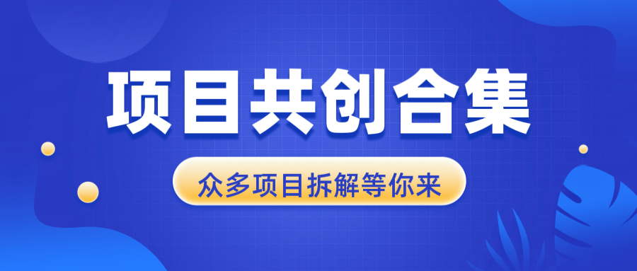 项目共创合集，从0-1全过程拆解，让你迅速找到适合自已的项目-菜菜网创