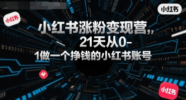小红书涨粉变现营，21天从0-1做一个挣钱的小红书账号-菜菜网创