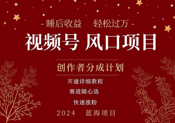 拥有睡眠收益的微信视频号大风口项目，轻松月入过万+，多赛道选择，可…-菜菜网创