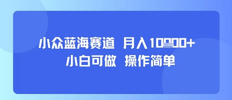 小众蓝海赛道，小白可做，操作简单，每天30分钟，月入1W+-菜菜网创