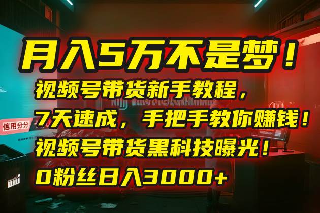 （15595期）月入5万不是梦！视频号带货新手教程，7天速成，手把手教你赚钱！视频号…-菜菜网创