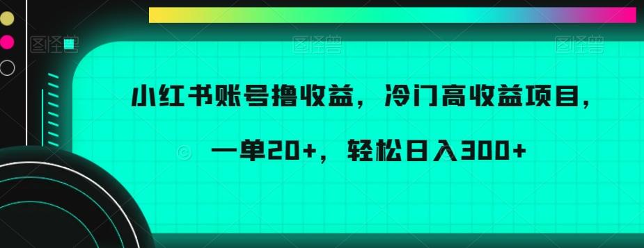 小红书账号撸收益，冷门高收益项目，一单20+，轻松日入300+【揭秘】-菜菜网创