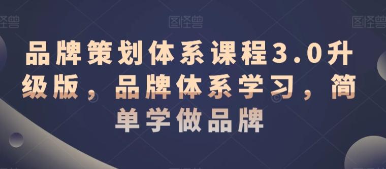 品牌策划体系课程3.0升级版，品牌体系学习，简单学做品牌-菜菜网创