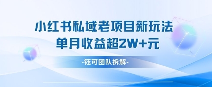 小红书私域项目新玩法，单月变现过W+-菜菜网创