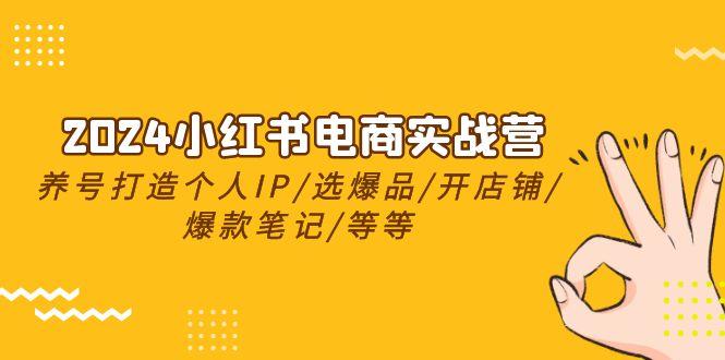 2024小红书电商实战营，养号打造IP/选爆品/开店铺/爆款笔记/等等(24节)-菜菜网创