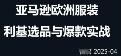 跨境电商选品案例24-25年，聚焦跨境电商选品策略与运营优化，助力卖家挖掘蓝海市场-菜菜网创