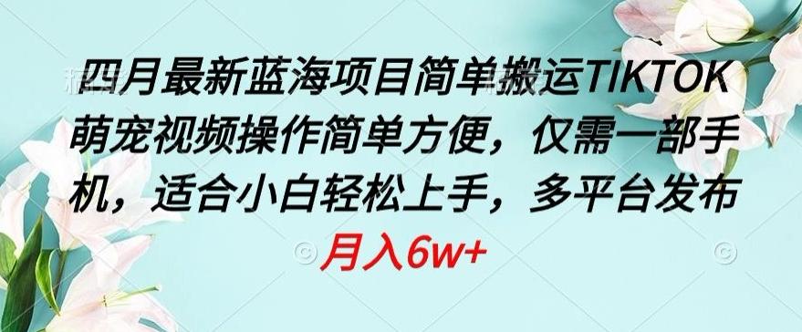 四月最新蓝海项目，简单搬运TIKTOK萌宠视频，操作简单方便，仅需一部手机【揭秘】-菜菜网创