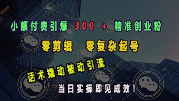 小额付费引爆 300 + 精准创业粉，零剪辑、零复杂起号，话术撬动被动引流，当日实操即见成效-菜菜网创