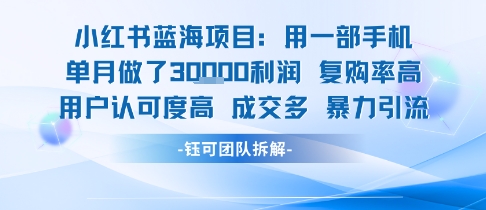 小红书蓝海项目，一部手机单月做了3W利润，小白也能月入过1W用户认可度高成交多-菜菜网创