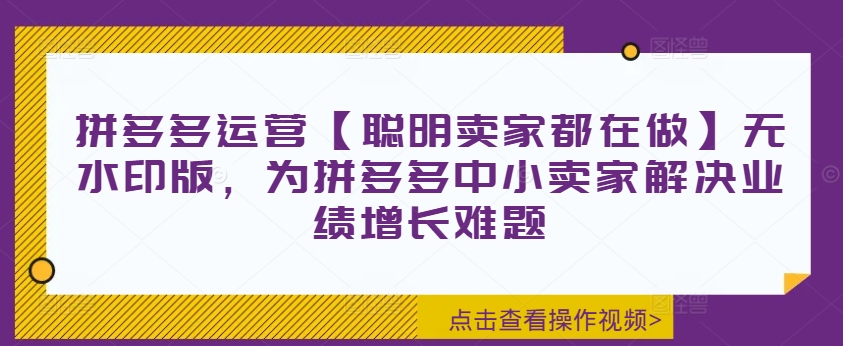 拼多多运营【聪明卖家都在做】无水印版，为拼多多中小卖家解决业绩增长难题-菜菜网创