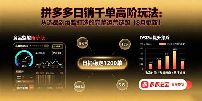 （15850期）拼多多日销千单高阶玩法：从选品到爆款打造的完整运营链路（8月更新）-菜菜网创