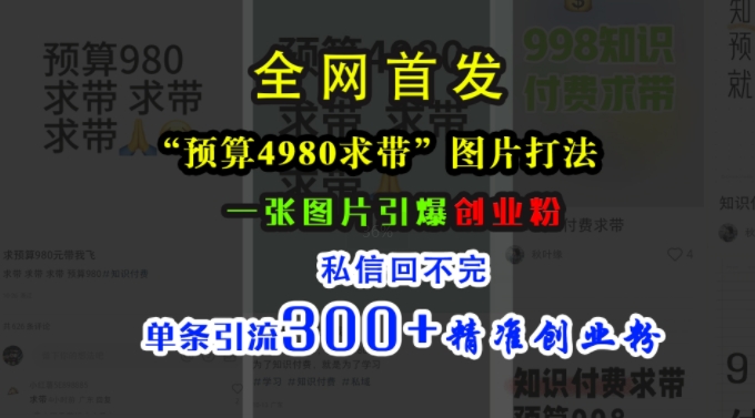 小红书“预算4980带我飞”图片打法，一张图片引爆创业粉，私信回不完，单条引流300+精准创业粉-菜菜网创