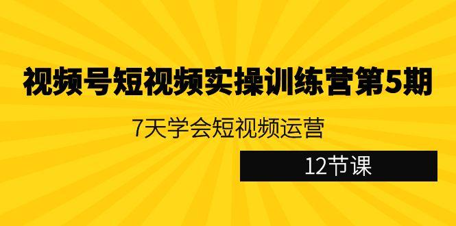 视频号短视频实操训练营第5期：7天学会短视频运营(12节课)-菜菜网创