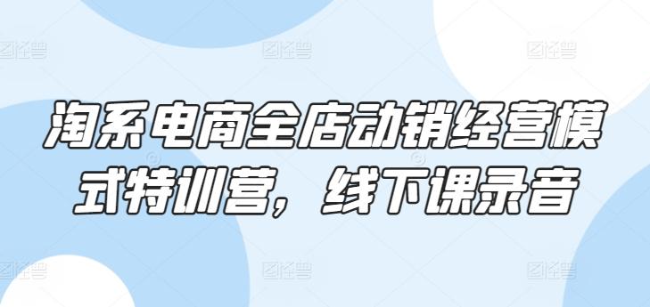 淘系电商全店动销经营模式特训营，线下课录音-菜菜网创