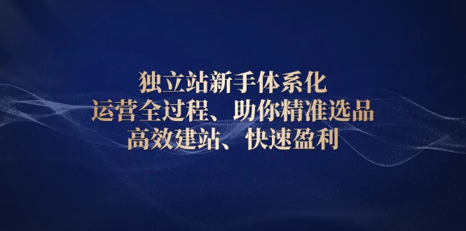独立站新手体系化 运营全过程，助你精准选品、高效建站、快速盈利-菜菜网创