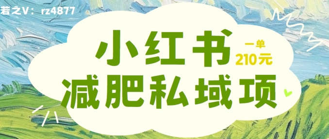 小红书减肥粉，私域变现项目，一单就达210元，小白也能轻松上手【揭秘】-菜菜网创