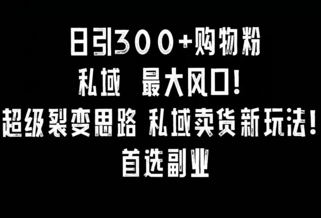 日引300+购物粉，超级裂变思路，私域卖货新玩法，小红书首选副业【揭秘】-菜菜网创