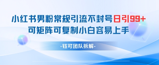 小红书男粉常规引流不封号日引99+变现简单 可矩阵可复制小白容易上手-菜菜网创
