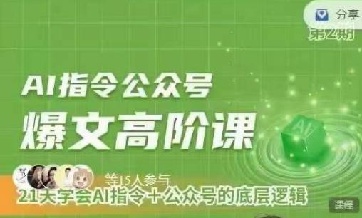 Ai指令公众号高阶课，学会ai指令+公众号的底层逻辑-菜菜网创